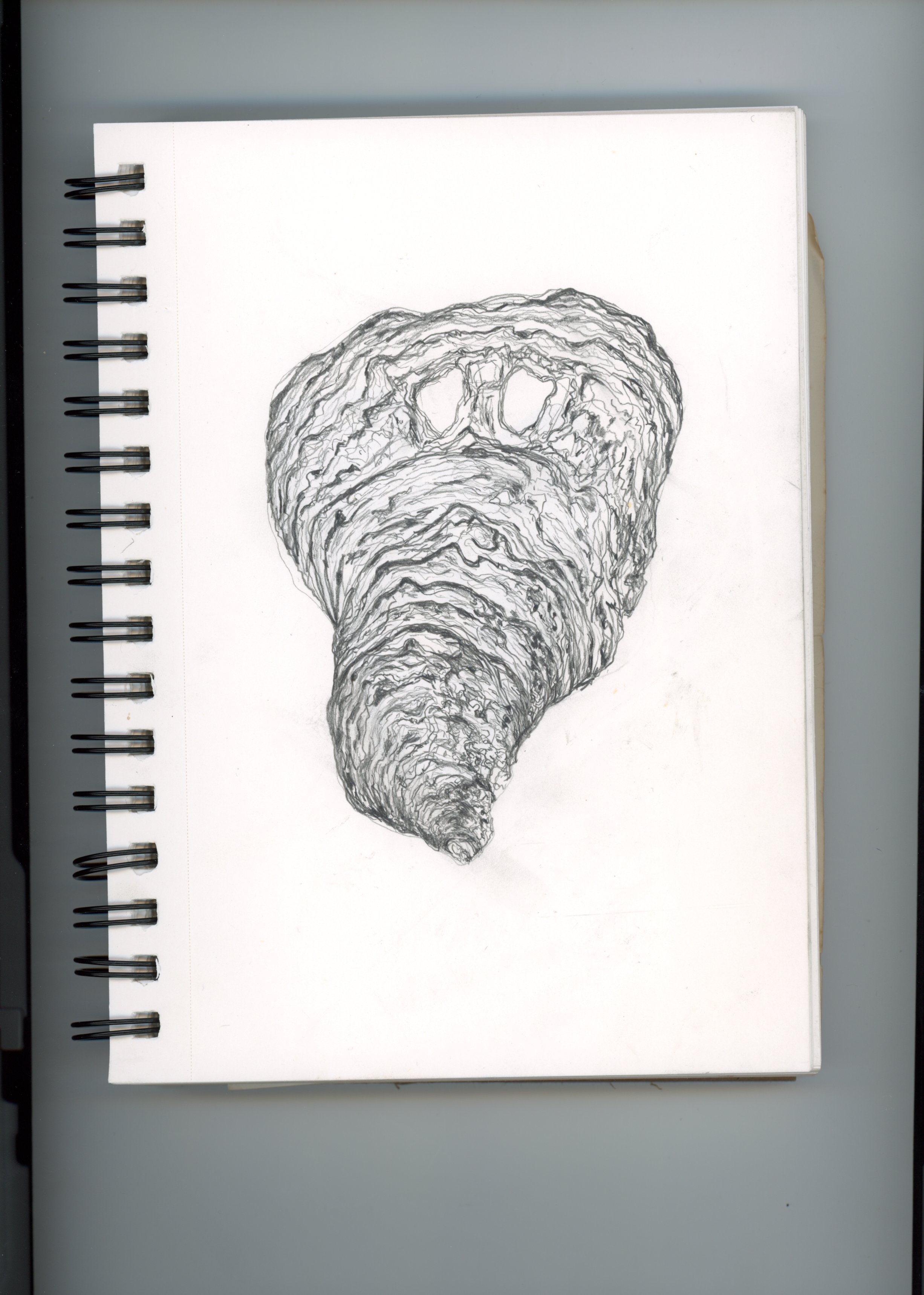 Research Drawing 1